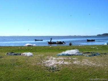 Ampliacin de Pescando na Laguna de Rocha (Vent nova)