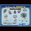 Ampliaci�n de Nasas
