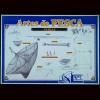 Ampliaci�n de Varias