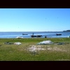 Zoom Fishing at Laguna de Rocha (Uruguay)