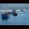 Zoom Proccesion 07