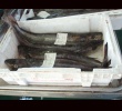 Zoom Hake_01
