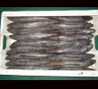 Zoom Hake_02