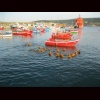 Zoom Survival at Sea - Basic Formation