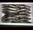 Zoom Cod