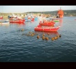 Ampliaci�n de Supervivencia no Mar